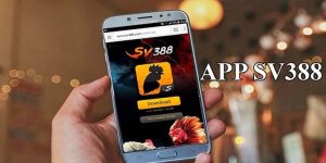 Giới thiệu về app SV388 
