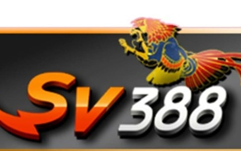 Nguyên tắc cần biết khi soi kèo nhà cái SV388